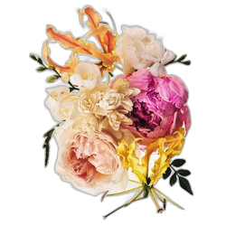 Floral Notes